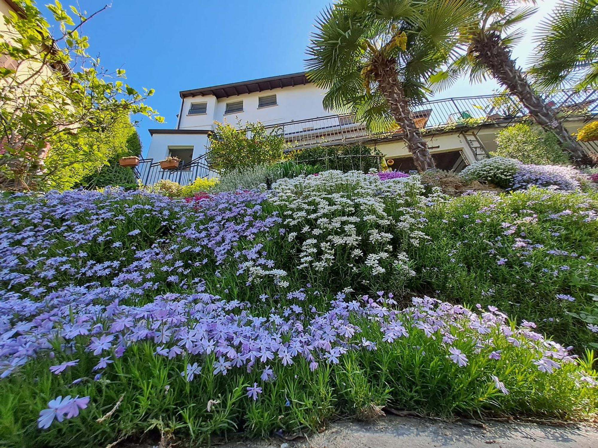 Al Nifontano B&B - Ideal For Family Or Couples - 2 Rooms - Lakeview Varese Bagian luar foto