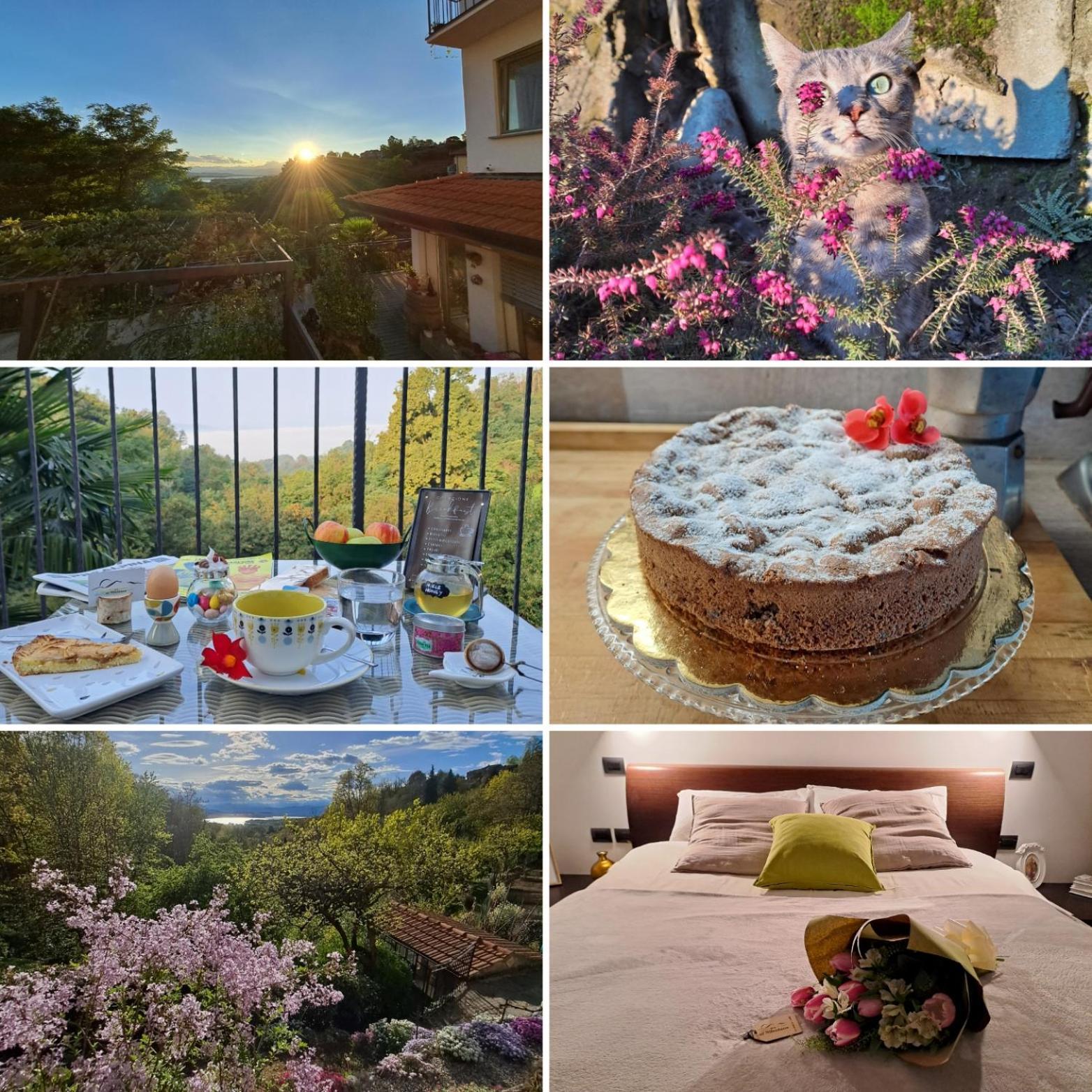 Al Nifontano B&B - Ideal For Family Or Couples - 2 Rooms - Lakeview Varese Bagian luar foto